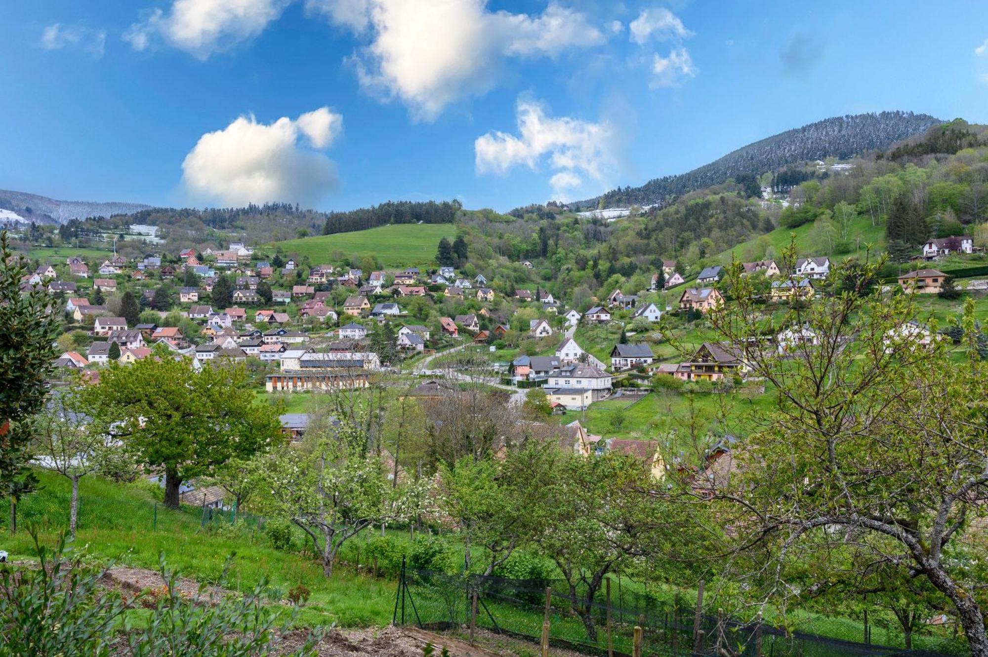 Gite En Montagne Vosges Alsaciennes Freland Ngoại thất bức ảnh